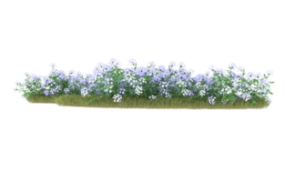 Realistic foliage isolated on transparent background. 3d rendering - illustration png