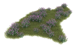 Realistic foliage isolated on transparent background. 3d rendering - illustration png
