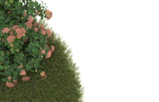 Realistic foliage isolated on transparent background. 3d rendering - illustration png