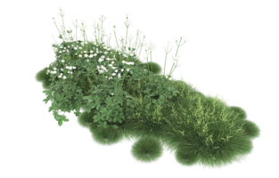 Realistic foliage isolated on transparent background. 3d rendering - illustration png