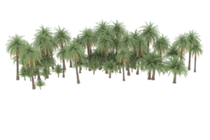 Palm trees isolated on transparent background. 3d rendering - illustration png