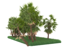 Palm trees isolated on transparent background. 3d rendering - illustration png