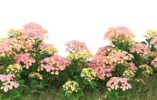 Realistic foliage isolated on transparent background. 3d rendering - illustration png
