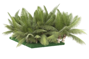 Palm trees isolated on transparent background. 3d rendering - illustration png