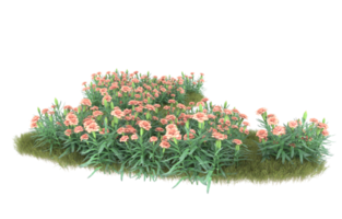 Realistic foliage isolated on transparent background. 3d rendering - illustration png