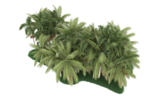 Palm trees isolated on transparent background. 3d rendering - illustration png
