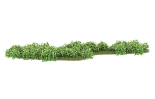 Realistic foliage isolated on transparent background. 3d rendering - illustration png