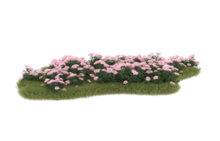 Realistic foliage isolated on transparent background. 3d rendering - illustration png