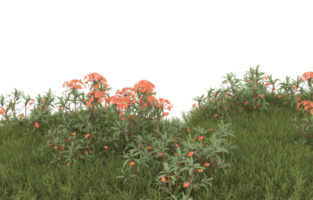 Realistic foliage isolated on transparent background. 3d rendering - illustration png