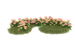 Realistic foliage isolated on transparent background. 3d rendering - illustration png