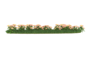 Realistic foliage isolated on transparent background. 3d rendering - illustration png