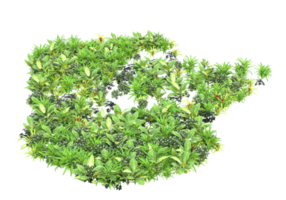 Realistic foliage isolated on transparent background. 3d rendering - illustration png