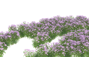 Realistic foliage isolated on transparent background. 3d rendering - illustration png