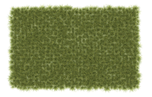 Realistic foliage isolated on transparent background. 3d rendering - illustration png