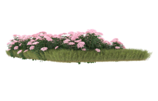 Realistic foliage isolated on transparent background. 3d rendering - illustration png