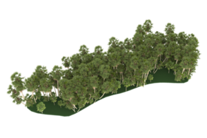 palma alberi isolato su trasparente sfondo. 3d interpretazione - illustrazione png