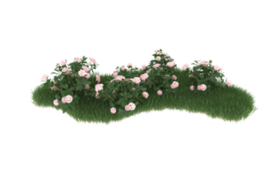 Realistic foliage isolated on transparent background. 3d rendering - illustration png