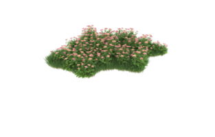 Realistic foliage isolated on transparent background. 3d rendering - illustration png