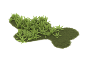 Realistic foliage isolated on transparent background. 3d rendering - illustration png