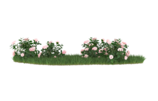 Realistic foliage isolated on transparent background. 3d rendering - illustration png