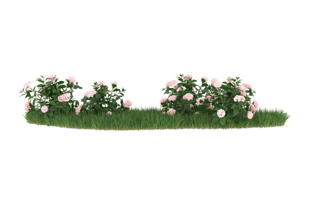 Garden PNGs for Free Download