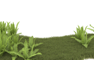 Realistic foliage isolated on transparent background. 3d rendering - illustration png