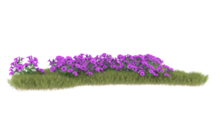 Realistic foliage isolated on transparent background. 3d rendering - illustration png