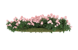 Realistic foliage isolated on transparent background. 3d rendering - illustration png