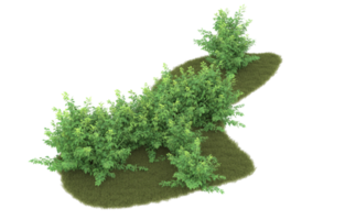 Realistic foliage isolated on transparent background. 3d rendering - illustration png