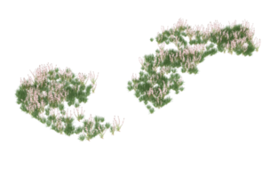 Realistic foliage isolated on transparent background. 3d rendering - illustration png