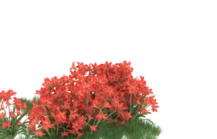 Realistic foliage isolated on transparent background. 3d rendering - illustration png