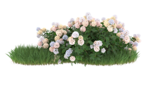 Realistic foliage isolated on transparent background. 3d rendering - illustration png