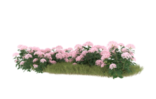 Realistic foliage isolated on transparent background. 3d rendering - illustration png