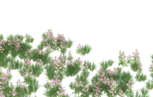 Realistic foliage isolated on transparent background. 3d rendering - illustration png