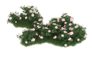 Realistic foliage isolated on transparent background. 3d rendering - illustration png