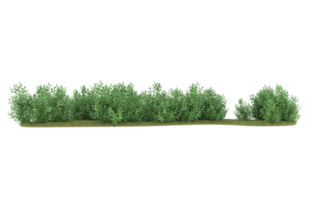 Realistic foliage isolated on transparent background. 3d rendering - illustration png