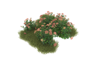 Realistic foliage isolated on transparent background. 3d rendering - illustration png