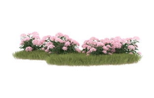 Realistic foliage isolated on transparent background. 3d rendering - illustration png