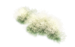 Realistic foliage isolated on transparent background. 3d rendering - illustration png