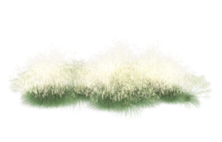 Realistic foliage isolated on transparent background. 3d rendering - illustration png