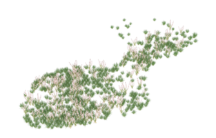 Realistic foliage isolated on transparent background. 3d rendering - illustration png