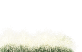 Realistic foliage isolated on transparent background. 3d rendering - illustration png