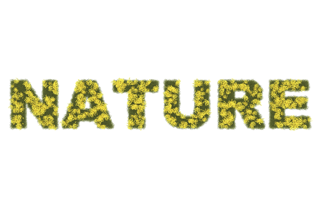 Nature Logo PNGs for Free Download