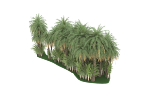 Palm trees isolated on transparent background. 3d rendering - illustration png