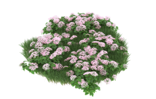 Realistic foliage isolated on transparent background. 3d rendering - illustration png