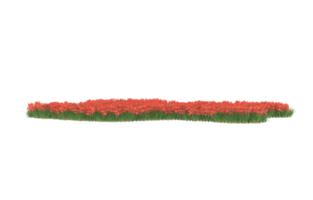 realistico fogliame isolato su trasparente sfondo. 3d interpretazione - illustrazione png