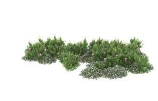 Realistic foliage isolated on transparent background. 3d rendering - illustration png