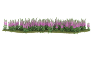 Realistic foliage isolated on transparent background. 3d rendering - illustration png