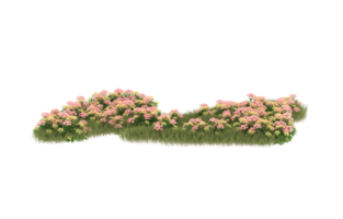 Realistic foliage isolated on transparent background. 3d rendering - illustration png