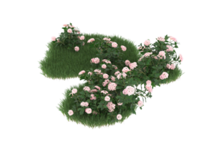 Realistic foliage isolated on transparent background. 3d rendering - illustration png